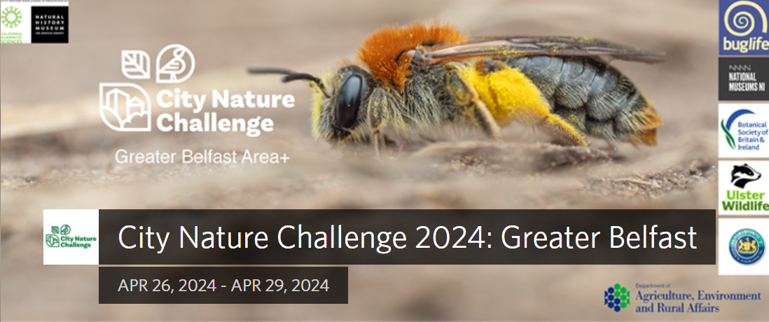 City Nature Challenge 2024